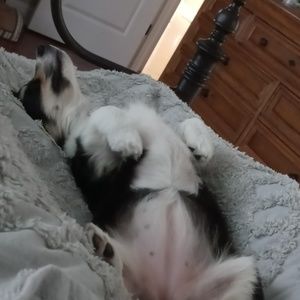 Meet your Posher, Fred